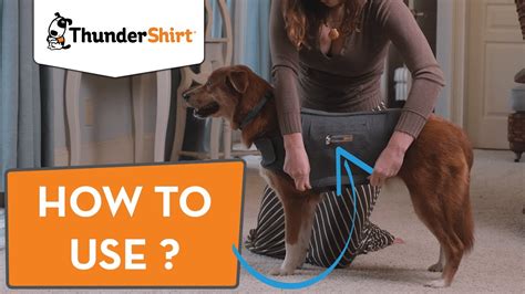 ThunderShirt for Dogs How to put on? - YouTube