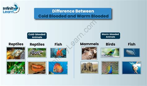 Difference Between (Cold Blooded & Warm Blooded) - Types, Examples