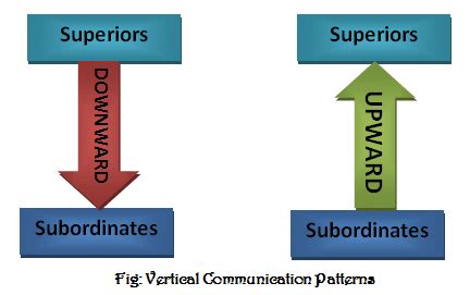 What is vertical communication? Types of vertical communication