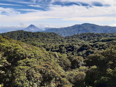 Costa Rica - Santa Elena Cloud Forest