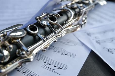 Parts of a Clarinet Explained In Detail [Upd. 2024]