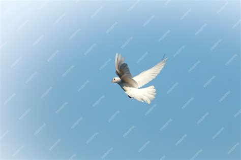 Premium Photo | The white dove is a symbol of Peace