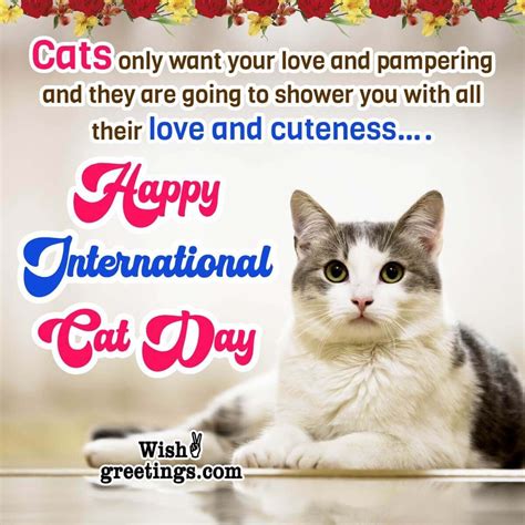 International Cat Day Wishes, Messages, Quotes - Wish Greetings