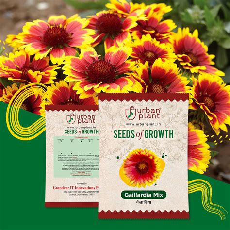 Gaillardia Mix Flower Seeds