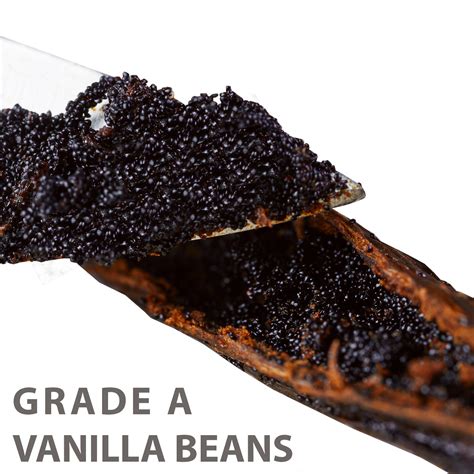 Organic Extra Large Vanilla Beans (Grade A1 Gourmet) | 8" Inches | Whole Vanilla Planifolia ...