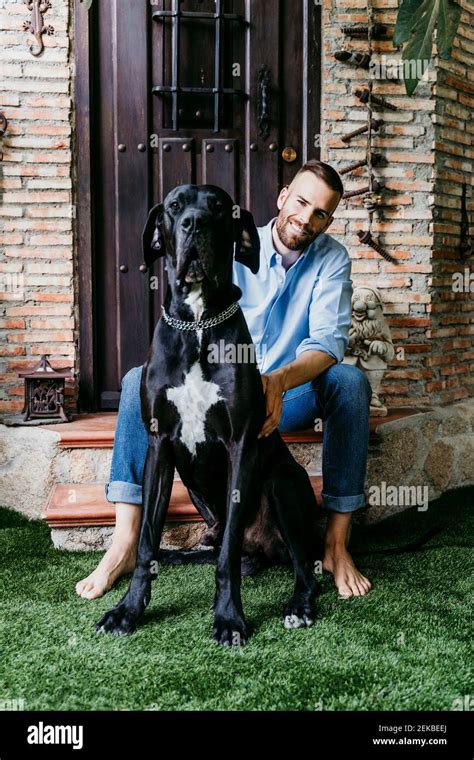 Young man sitting on terrace with Great Dane dog Stock Photo - Alamy