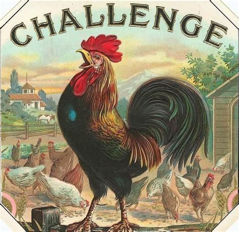 27 best Vintage Chicken/Egg Signs images on Pinterest | Chicken art ...