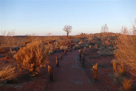 Uluru Field of Light - Why you Should Experience the Magic