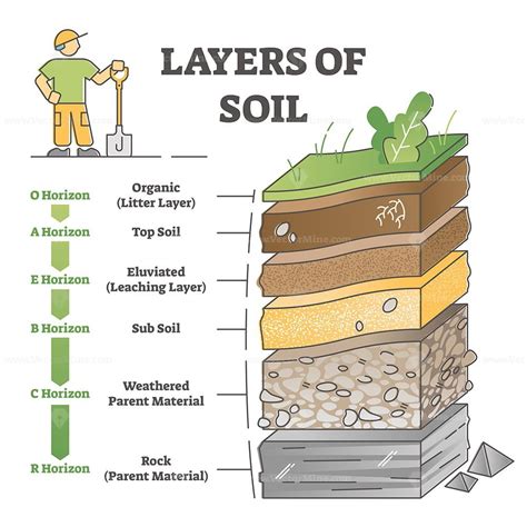 Layers of soil diagram as educational labeled earth structure outline diagram - VectorMine