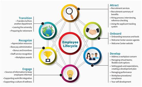 Employee Life Cycle | Cardinal at Work