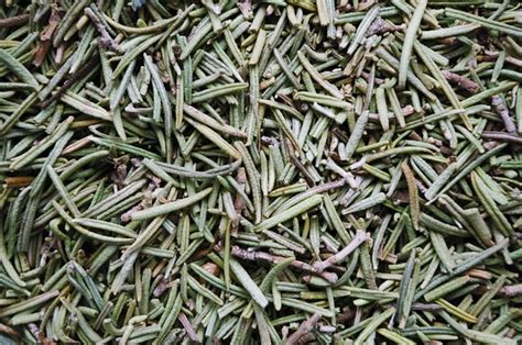 Rosemary Dried Pepper - Free photo on Pixabay - Pixabay