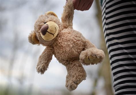 Person Holding Red Bear Plush Toy · Free Stock Photo