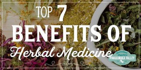 7 Benefits of Herbal Medicine: The risks and benefits of home remedies