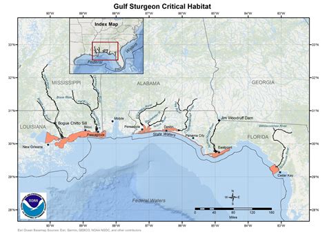 Gulf Sturgeon Critical Habitat Map and GIS Data | NOAA Fisheries