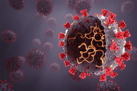 Colorimetric detection of SARS-CoV-2 viral RNA by an in vitro ...