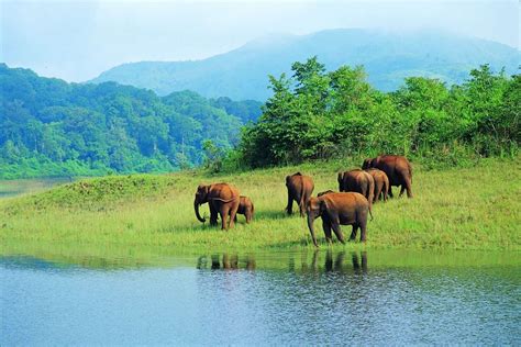 Best Odisha Wildlife Tour Packages for 2 Nights and 3 Days