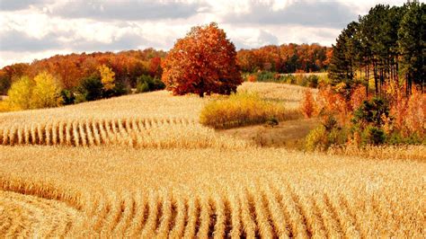 Autumn Harvest Wallpapers - Top Free Autumn Harvest Backgrounds - WallpaperAccess