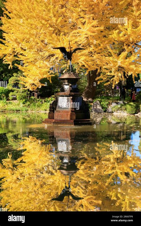 Hibiya park autumn leaves Stock Photo - Alamy