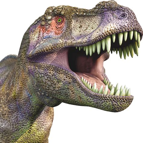 Download Dinosaur Png - T Rex Head Transparent Background - HD Transparent PNG - NicePNG.com