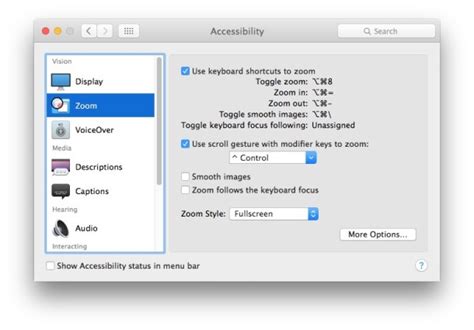 Enable Screen Zoom in Mac OS X