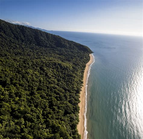 Cape Tribulation Tours & Activities | Daintree Rainforest Discovery Centre