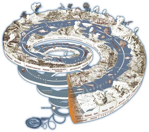 The Anthropocene: our place in Earth's history - Climatica | Espiral de la vida, Infografia ...