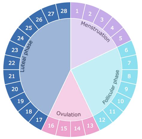 Exercise according to each phase of your cycle - Fem's Health