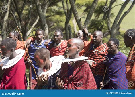 Maasi Village during Ceremony, Ngorongoro Conservationa Area, Ta Editorial Stock Image - Image ...