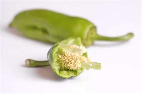 How To Germinate Pepper Seeds - Garden.eco