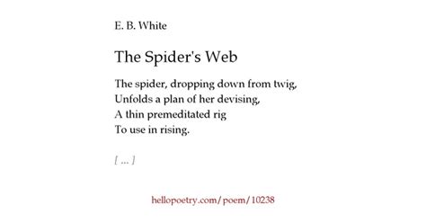 The Spider's Web by E. B. White - Hello Poetry