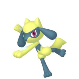 Riolu sprites gallery | Pokémon Database