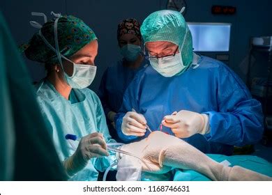 Surgeon Surgical Assistant Nurse Working Operating Stock Photo (Edit ...