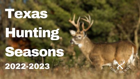 Texas Hunting Seasons, 2022-2023 - eatingthewild.com