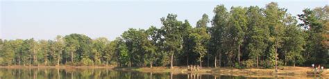 Navegaon National Park Nagpur, India | Best Time To Visit Navegaon ...