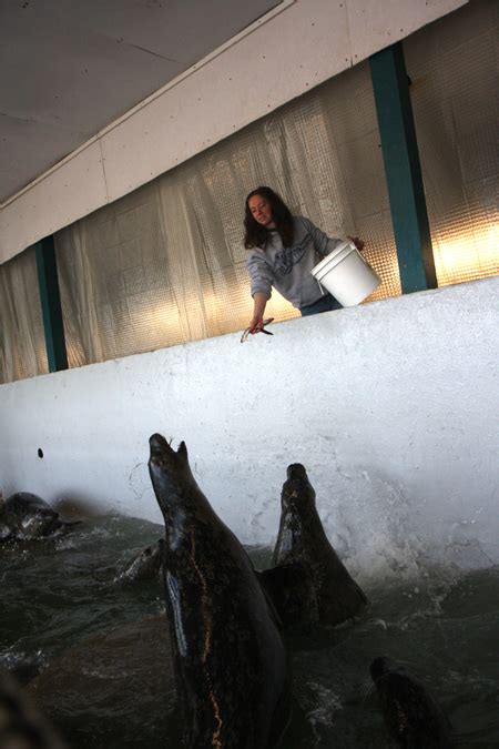 Seaside Aquarium | Oregon.com