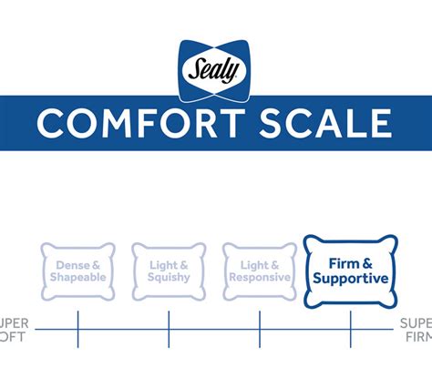 Sealy Extra Firm Support Pillow | Mattress Firm