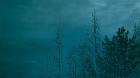 Download wallpaper 1366x768 trees, night, moonlight, twilight, haze ...