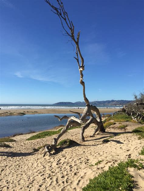 Pismo State Beach 12/27/2018 | Places to see, Outdoor, Beach