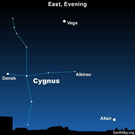 Deneb and its constellation Cygnus the Swan | Tonight | EarthSky