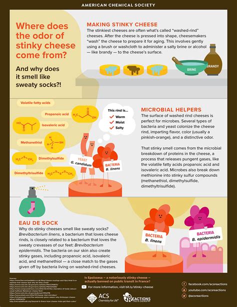 Infographics - American Chemical Society