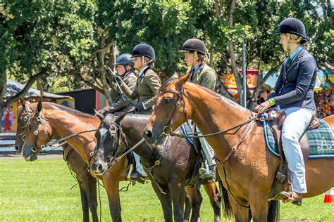 Horse Competition - Nowra Show Society