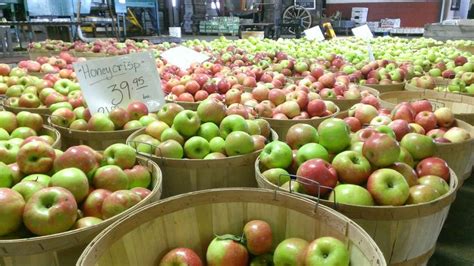 Apple season at Hillcrest Orchard in WalnutCreek. They have superb, fresh-made apple cider! # ...