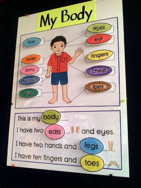 KIDDOS CRAFTS: Teaching Aids - Body Parts Kindergarten Learning ...