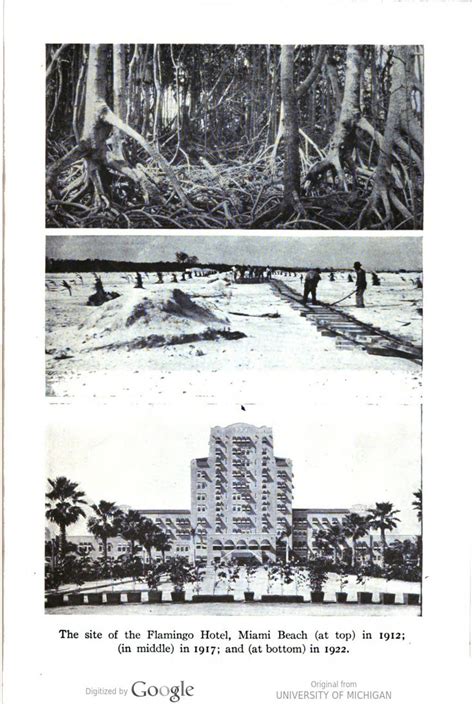 Flamingo Hotel from 1913 to 1922 | Miami photos, Miami beach, Palm beach