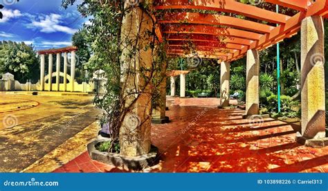 Mexico Park in La Condesa Neighborhood of Mexico City Editorial Photo - Image of open, city ...