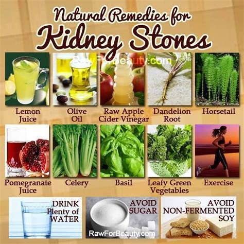 Kidney Stone Diet: Which Foods Can Cause Kidney Stones - - Uric acid ...