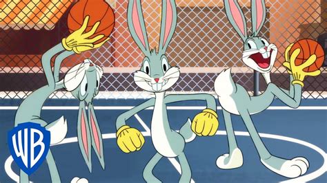 公式サイトでは looney tunes - gorgas.gob.pa