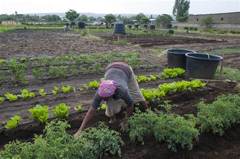 New Project in Ethiopia Funded by Italy Replicates Model of Adaptation Fund-Financed Project in ...