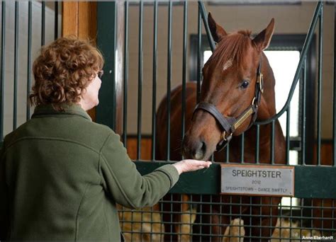 Tours - WinStar Farm | Tours, Stallion, Vacation