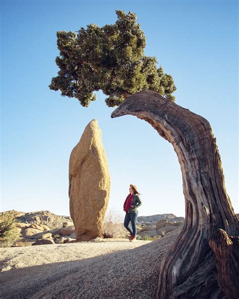 Top 8 Rock Formations - Joshua Tree National Park — Flying Dawn Marie | Travel blog, guides ...